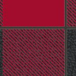 tampa bay buccaneers