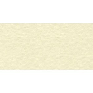 Bazzill Mono Cardstock 12"X12" - 1 of 1