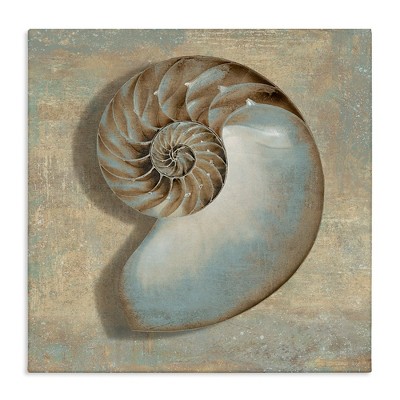 Stupell Industries Shell Beach Objects Design, 30" x 30"
