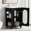 MAYEERTY 20" Bathroom Vanity with Sink 2-tier Shelf Adjustable Shelf Solid Wood MDF Black - 2 of 4