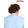 HalloweenCostumes.com One Size Fits Most  Men  Nacho Libre Wig & Mustache for Adults, Brown - 2 of 4