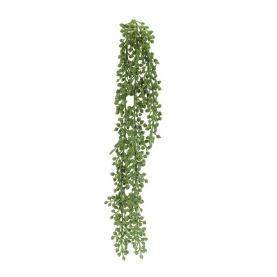 Succulent Stem (Set of 6)