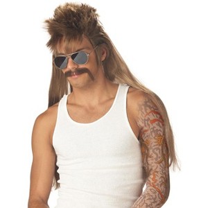 California Costumes Mississippi Mudflap Costume Wig - Brown - 1 of 1