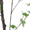 Artificial Disc Leaf Tree with Life-Like Leaves, Green Decorative Plant for Home Office Living Room Bedroom Floor Decoration - 4 of 4