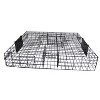Rugged Ranch Large Metal Wire Live Catch & Release Trap Cage w/ Easy Open Top Lid & 2 Door System - 4 of 4