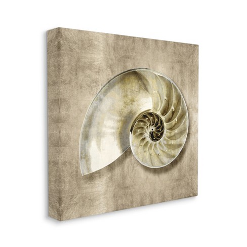 Stupell Industries Nautilus Shell Interior Intricate Animal Muted Neutral Target