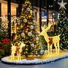 Yaheetech 2 Piece Lighted Christmas reindeer Outdoor Christmas Decoration - 2 of 4