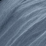 bering sea