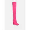 Ronettes Over The Knee  Women Boot - 3 of 4
