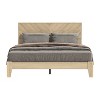 Galano Weiss Oslo Oak Wood Frame Queen Platform Bed With Headboard : Target