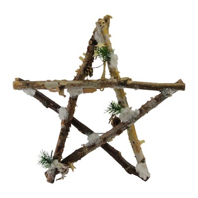 Northlight 14" Snowy Branch Christmas Star Wall Decor