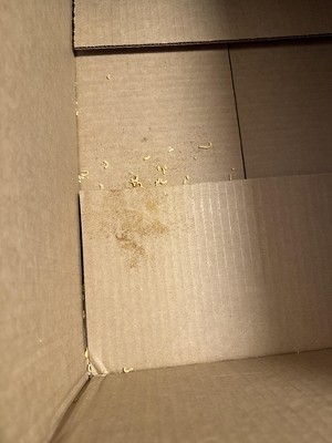 Guest review image 1 of 2, zoom in