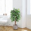 Kunstpflanze Ficusbaum Künstliche Pflanzen Kunstbaum Groß Für Wohnzimmer, Schlafzimmer, Büro, Garten - 2 of 4