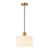 Hudson and Canal 10" Wide Pendant with Glass Shade - 3 of 4