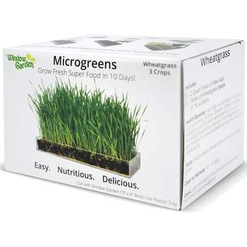 Window Garden Microgreen Organic Wheatgrass 3 Pack Refill