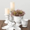 Sullivans Mini Wisteria 1/2 Orb Decorative Filler 5.5"H Purple - 3 of 4
