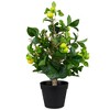 Northlight 1.9' Unlit Artificial Potted Bonsai-Style Green Apple Tree - 3 of 4