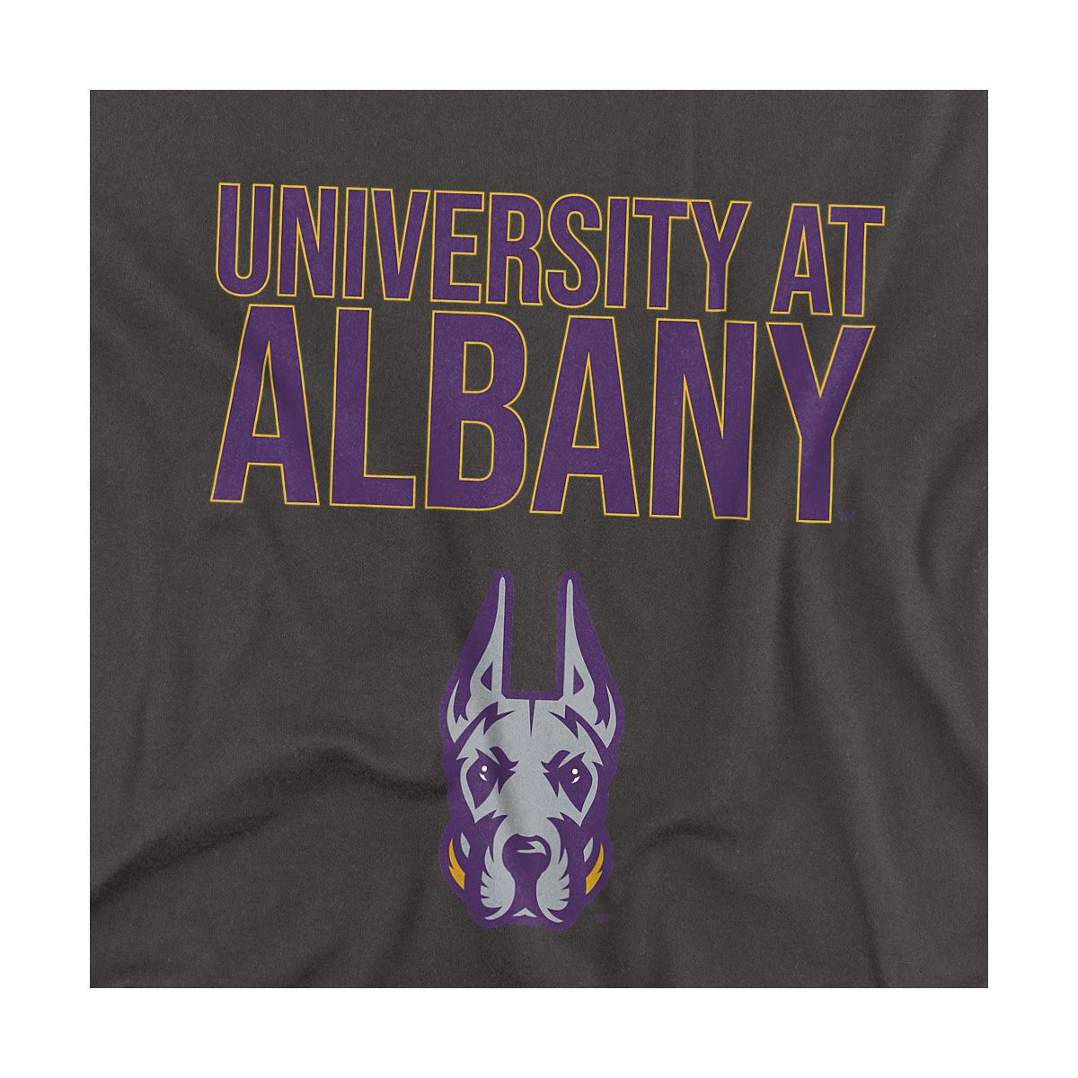 Men's University at Albany Official T-Shirt - thumbnail 10
