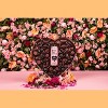 Sail Away Coffee | "Share the Love" Chocolate Cherry - Pack of 12 - 4 of 4