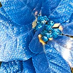 blue  wreath