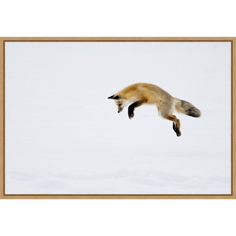 23&#34; x 16&#34; Red Fox in Snow by Deborah Winchester Danita Delimont Framed Canvas Wall Art - Amanti Art, 1 of 9