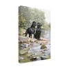 Trademark Fine Art -The Macneil Studio 'Black Labradors' Canvas Art - 4 of 4