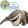Arsenio The Anteater - 18 Inch Stuffed Animal Plush - By Viahart - 2 of 4