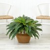 Nearly Natural 23-in Artificial Boston Fern Plant in Handmade Jute & Cotton Basket with Tassels DIY KIT - 3 of 4