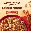 General Mills Family Size Cheerios Oat Crunch Cinnamon Cereal - 24oz - 2 of 4