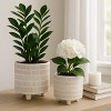Sagebrook Home 2-Piece Set of Ceramic Planters Stylish Footed Plant Stand Set for Indoor or Outdoor - 2 of 4