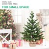 NAYSAYE 2ft Tabletop Christmas Tree Full PE Mini Tree with 230 Tips and Cement Filled Base for Holiday Decor, Green, 18"*18"*24" - 4 of 4