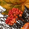 22" Artificial Maple Leaf Autumn Wreath with Pumpkins, Gourds and Berries - National Tree Company - 3 of 4