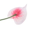 Unique Bargains Artificial Anthurium Lily Flowers for Home Decor 10 Pcs - 4 of 4
