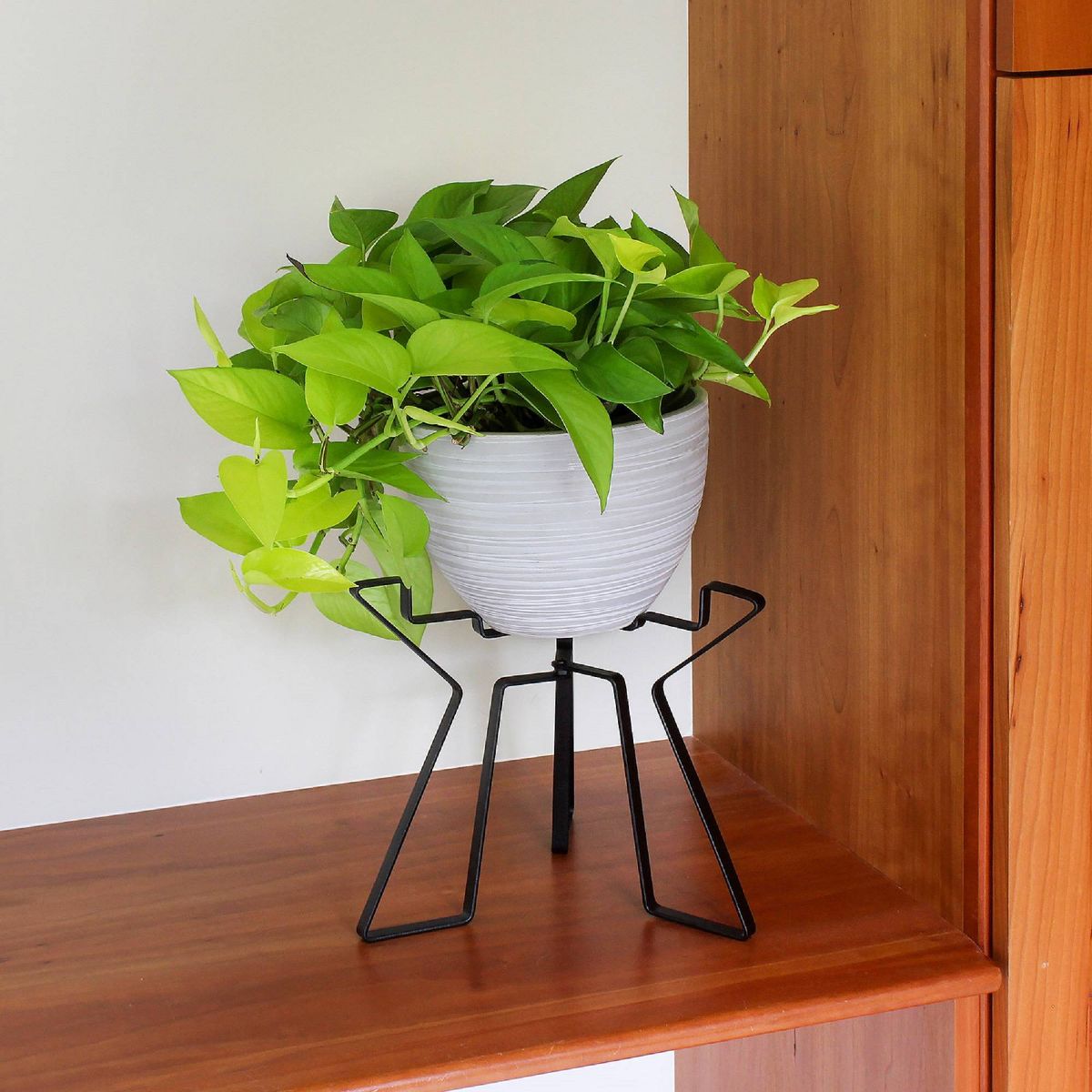 Simple Folding Tabletop and Floor Florence Iron Plant Stand Black Powder Coat Finish - Achla Designs - thumbnail 3