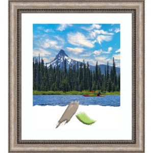 Amanti Art Lyla Ornate Silver Picture Frame - 1 of 4