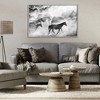 Stupell Industries Dusty Road Horse Photograph Framed Giclee Art - 3 of 4