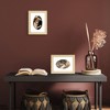 Americanflat 4x6 Picture Frame with Oval Mat Insert and Shatter-Resistant Glass - Signature Collection - 6x8 Picture Frame without Mat - Natural Oak - 4 of 4