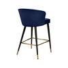 Meridian Furniture,Cassie Navy Velvet Stool, Set of 2 - 2 of 4