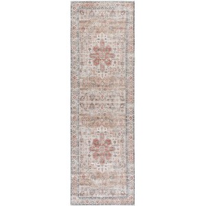 Arizona ARZ243 Machine Washable Skid Resistant Power Loomed Indoor Rugs - Safavieh - 1 of 4