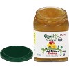 Organic Hot Mango Chutney - 10.5oz (300g) - Rani Brand Authentic Indian Products - 3 of 4