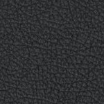 alabama crimson tide