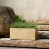 KWPZQEB 19.75" H Rectangle Planter Box, Modern Outdoor/Indoor Rectangular Trough Planter with Drain Holes, Long Box Planter, Durable All-Weather Use - 2 of 4