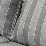 Gray Striped