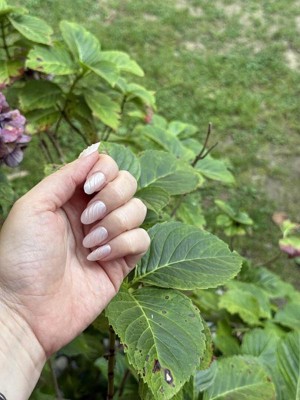 Guest review image 2 of 2, zoom in