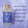 SheaMoisture Apple Cider Vinegar Anti-Dandruff Salicylic Acid Shampoo - 13 fl oz - 3 of 4
