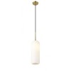 Monty Collection Glass Pendant Light - Mid-Century Modern, Dimmable, 100W, 22" Height - 2 of 4
