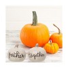 Transpac Harvest Gather Sentiment Pumpkin Dolomite Salt and Pepper Shakers Collectables White 2.5 in. Set of 2 - 4 of 4
