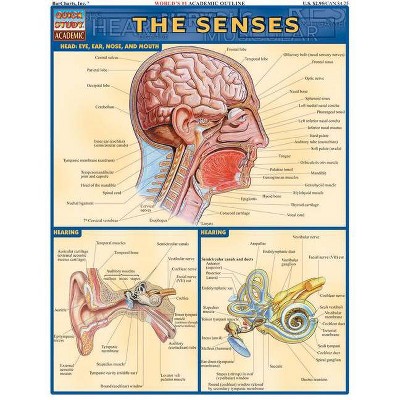 Senses - (Quickstudy: Academic) by  Vincent Perez (Poster)