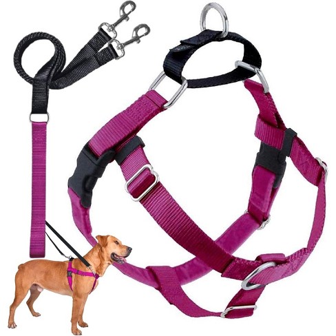 2 Hounds Design Freedom No pull Dog Harness Training Package Medium 1 Wide Raspberry Target