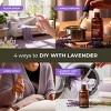 Gya Labs Lavender Essential Oil (4 Fl Oz / 118 ml) Skin, Hair, Massage, Aromatherapy, Candle Making Scent - 4 of 4
